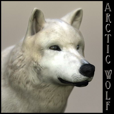 extensive dog 2 fbx - 12 Dogs Collection (2) by Massimo Righi