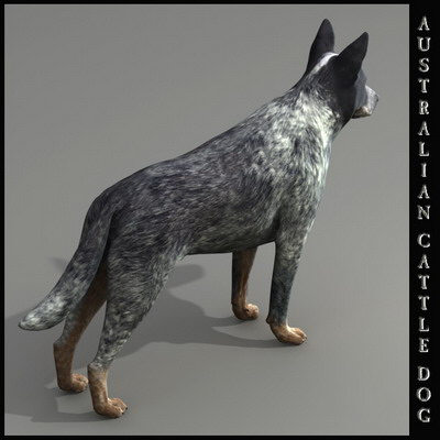 extensive dog 2 fbx - 12 Dogs Collection (2) by Massimo Righi