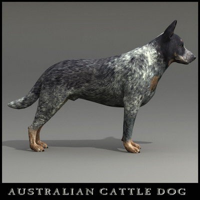 extensive dog 2 fbx - 12 Dogs Collection (2) by Massimo Righi