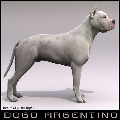 extensive dog 2 fbx - 12 Dogs Collection (2) by Massimo Righi