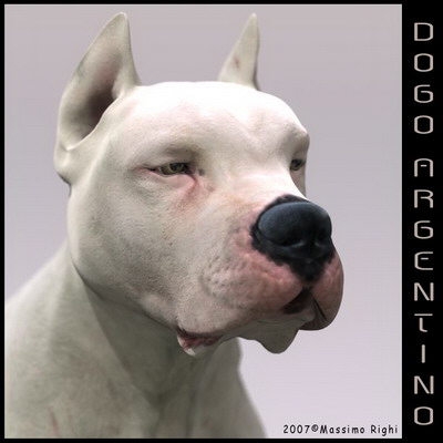extensive dog 2 fbx - 12 Dogs Collection (2) by Massimo Righi