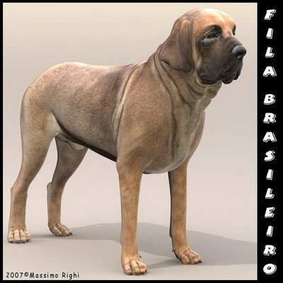 extensive dog 2 fbx - 12 Dogs Collection (2) by Massimo Righi