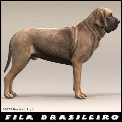 extensive dog 2 fbx - 12 Dogs Collection (2) by Massimo Righi