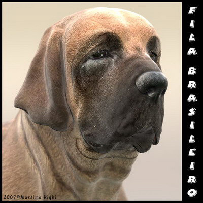extensive dog 2 fbx - 12 Dogs Collection (2) by Massimo Righi