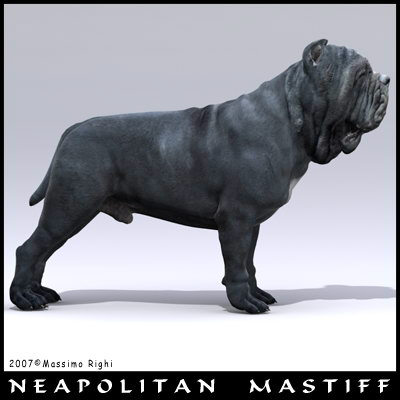 extensive dog 2 fbx - 12 Dogs Collection (2) by Massimo Righi
