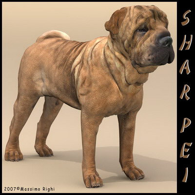extensive dog 2 fbx - 12 Dogs Collection (2) by Massimo Righi