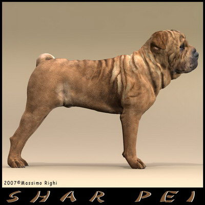 extensive dog 2 fbx - 12 Dogs Collection (2) by Massimo Righi
