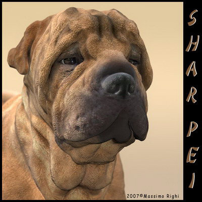 extensive dog 2 fbx - 12 Dogs Collection (2) by Massimo Righi
