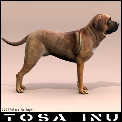 extensive dog 2 fbx - 12 Dogs Collection (2) by Massimo Righi