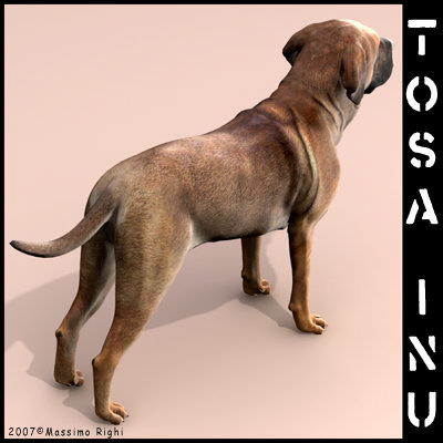 extensive dog 2 fbx - 12 Dogs Collection (2) by Massimo Righi