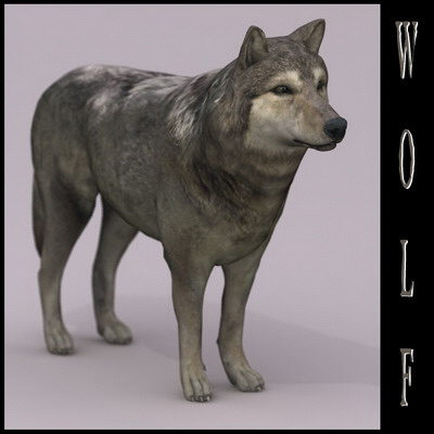 extensive dog 2 fbx - 12 Dogs Collection (2) by Massimo Righi