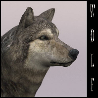 extensive dog 2 fbx - 12 Dogs Collection (2) by Massimo Righi