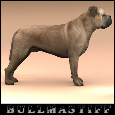 extensive dog 2 fbx - 12 Dogs Collection (2) by Massimo Righi