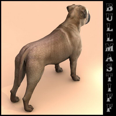 extensive dog 2 fbx - 12 Dogs Collection (2) by Massimo Righi