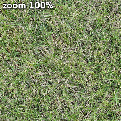 Grass Textures vol.2 2048x2048