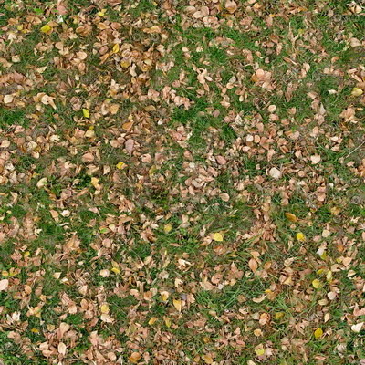Grass Textures vol.2 2048x2048