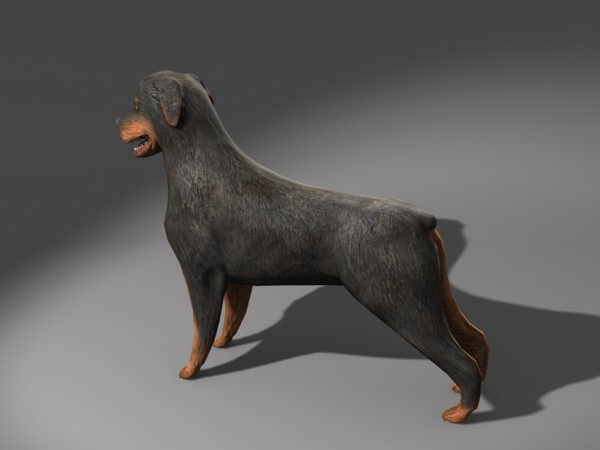 max rottweiler dog - Rottweiler.max by MidgetRentals