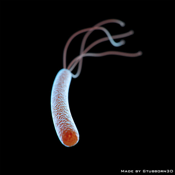 Microscopic Collection
