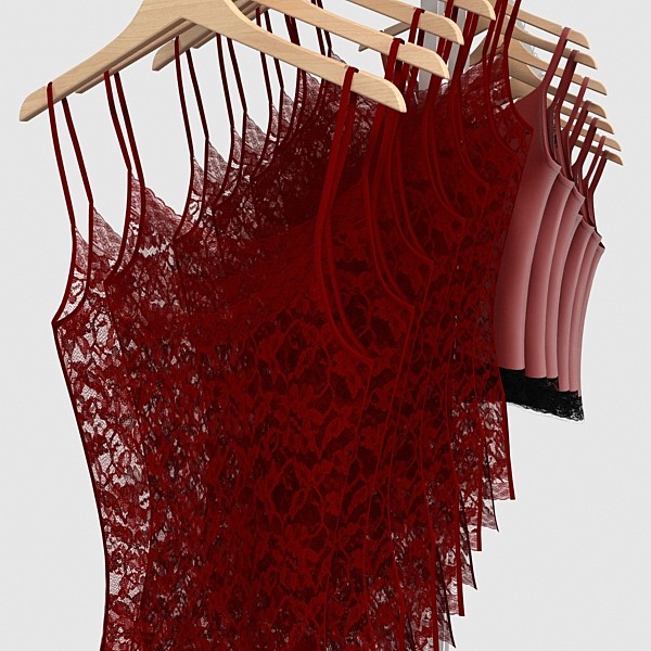 3ds max lingerie rack 1 - lingerie rack 1 by DigitalX