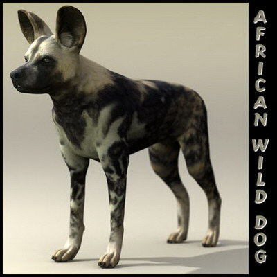 dog 4 3d model - Dog Collection (4) by Massimo Righi
