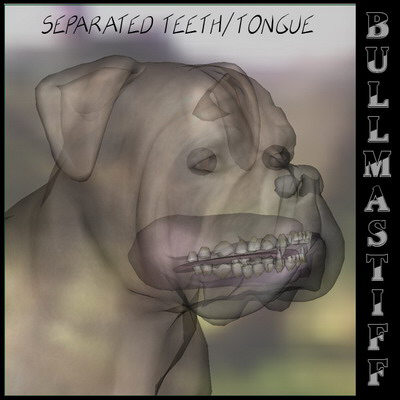 dog 4 3d model - Dog Collection (4) by Massimo Righi
