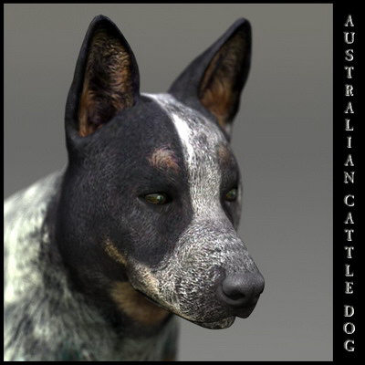 dog 4 3d model - Dog Collection (4) by Massimo Righi