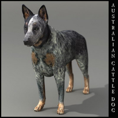 dog 4 3d model - Dog Collection (4) by Massimo Righi