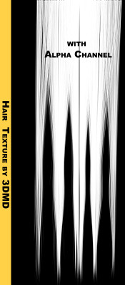 blondeHairTexture_020.tga