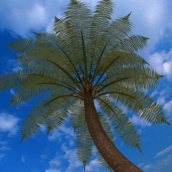 3d palm - Palm 02 by fabelar