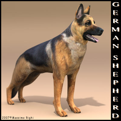 3d extensive dog model - 12 Dogs Collection (1) by Massimo Righi