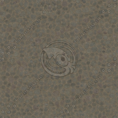 Paving stones #02 Texture