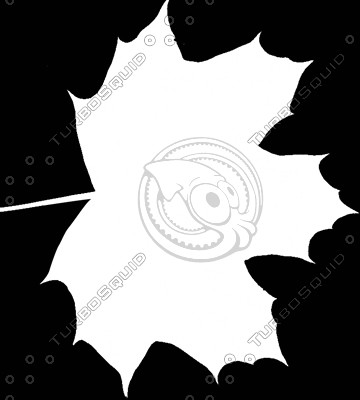 leaf 02