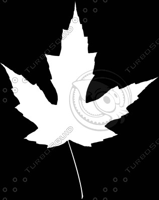 leaf 01